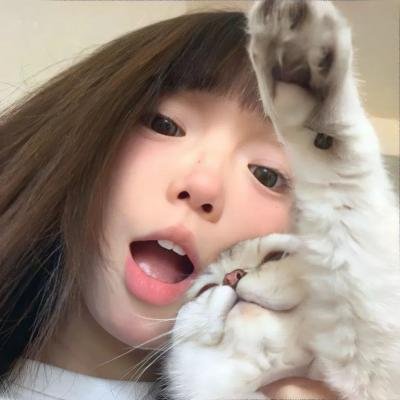 梦城兔福星
